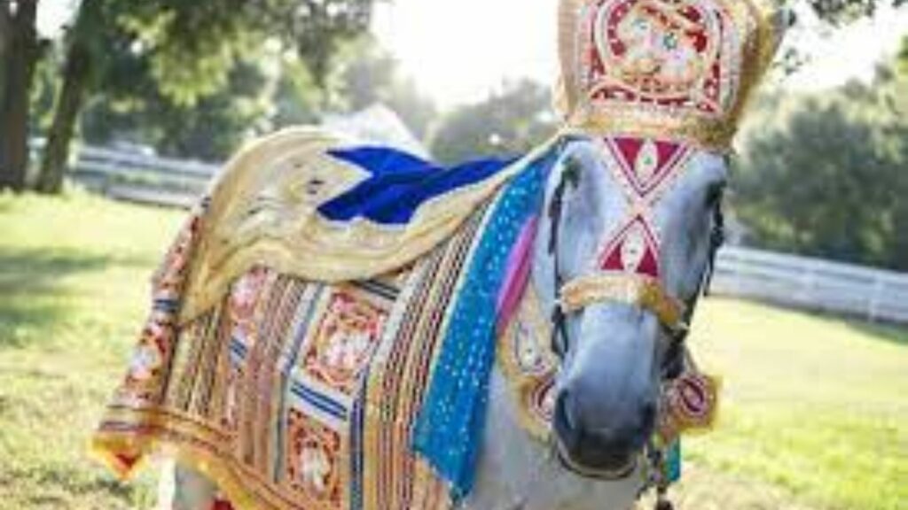 सपने में शादी के घोड़े को देखना Shadi Ka Ghoda Dekhna
